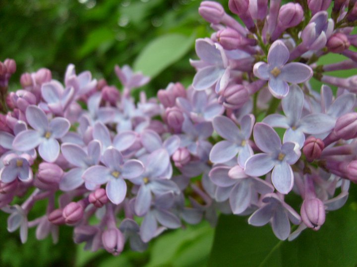 Featured Image -- 1131