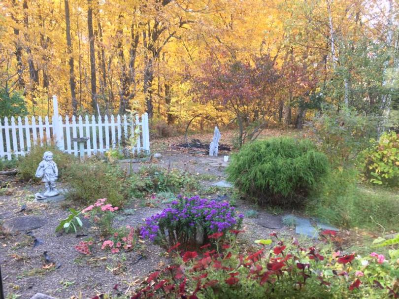 14680763_10211250182116926_4187412357106657774_n