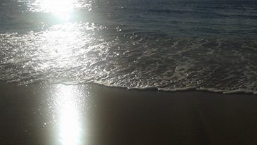 944132_10205199724019255_8221527691387933855_n